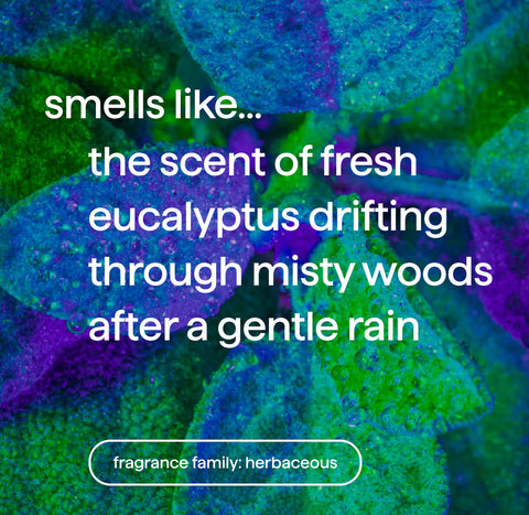 foaming hand wash - eucalyptus + rosemary, 10 fl oz