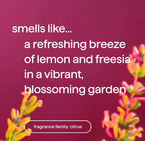 foaming hand wash - lemon + freesia, 10 fl oz