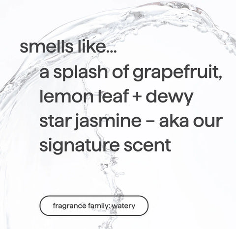 sweet water gel hand wash refill 5-count bundle, 170 fl oz