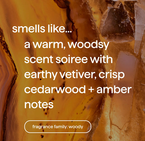 foaming hand wash starter set - vetiver + amber, 38 fl oz