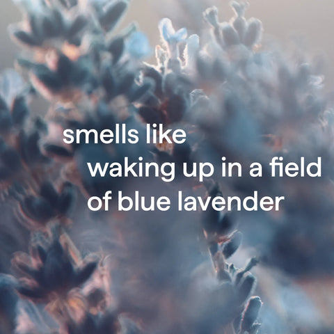 body wash - wind down, 28 fl oz