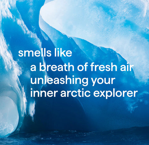 men body wash trio, 84 oz.