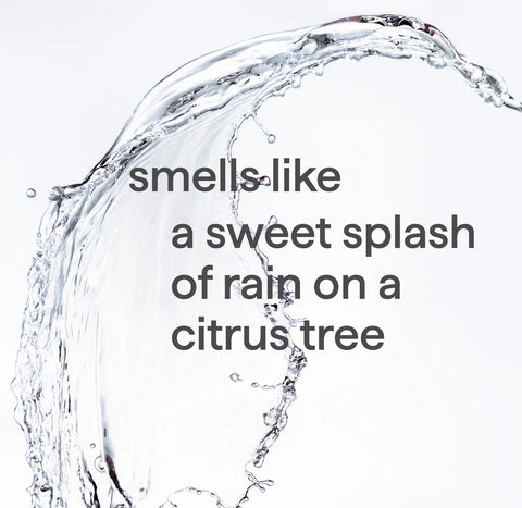 sweet water gel handwash starter set