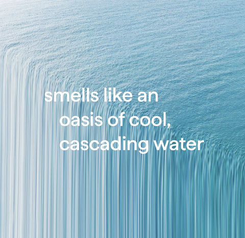 gel hand wash - waterfall, 12 fl oz