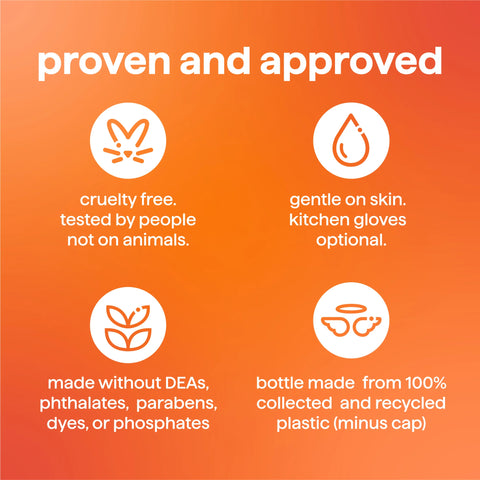 super shine liquid dish soap - among the orchards, 16 fl oz