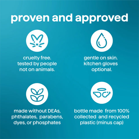 super shine liquid dish soap starter set - dewy daze, 64 fl oz