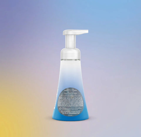 foaming hand wash - frost + flurry, 10 fl oz
