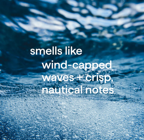 men body wash - Sea + Surf, 3.4 fl oz