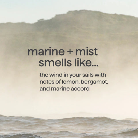 body wash - marine + mist, 18 fl oz