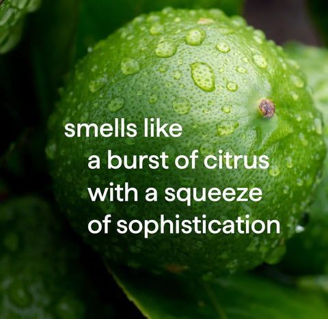 men 2-in-1 shampoo + conditioner - bergamot + lime, 14 fl oz