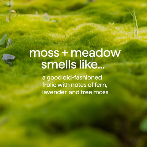body wash - moss + meadow, 18 fl oz