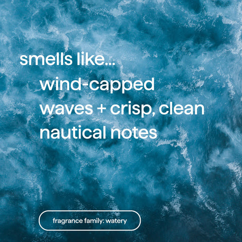 body lotion - sea + surf, 14 fl oz